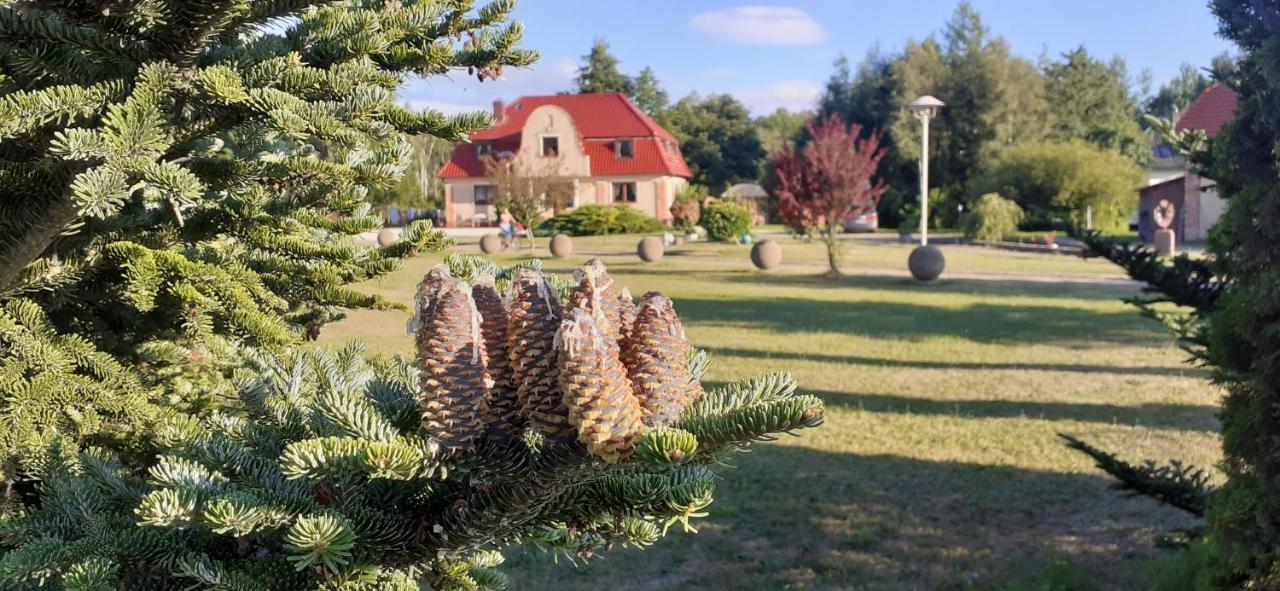 Sielanka - Domki I Pokoje Pod Leba Zarnowska Dış mekan fotoğraf